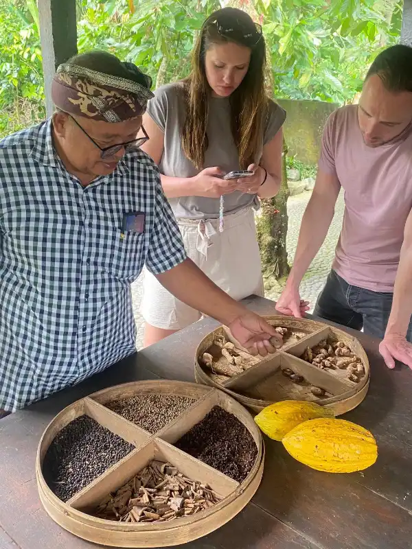 coffee plantation, agricultural, coffee tea bali, baliwonderstour 